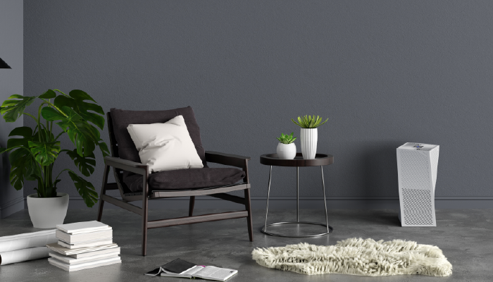 Air Purifiers