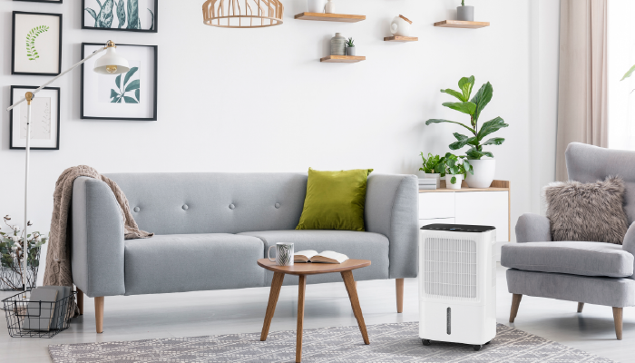 Dehumidifiers