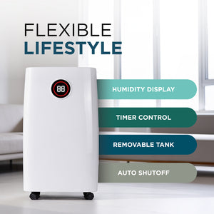 Compressor Dehumidifier