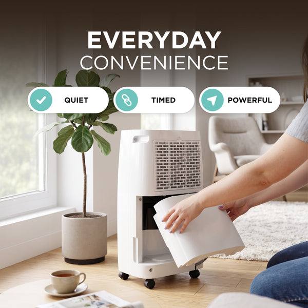 Compressor Dehumidifier