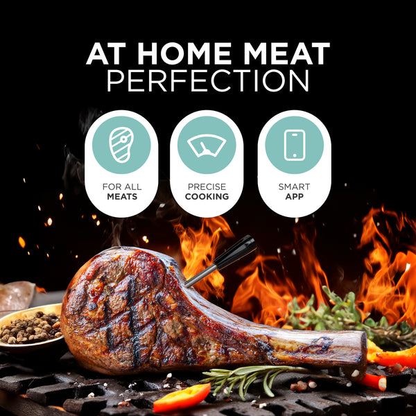 Wireless Meat Thermometer, 100m Bluetooth with Temp Alarm