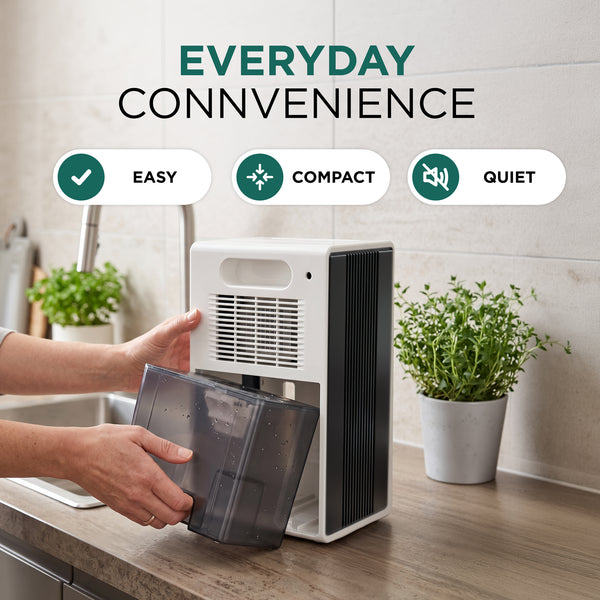 2L Dehumidifier with Timer, Night Mode & Ambient Light