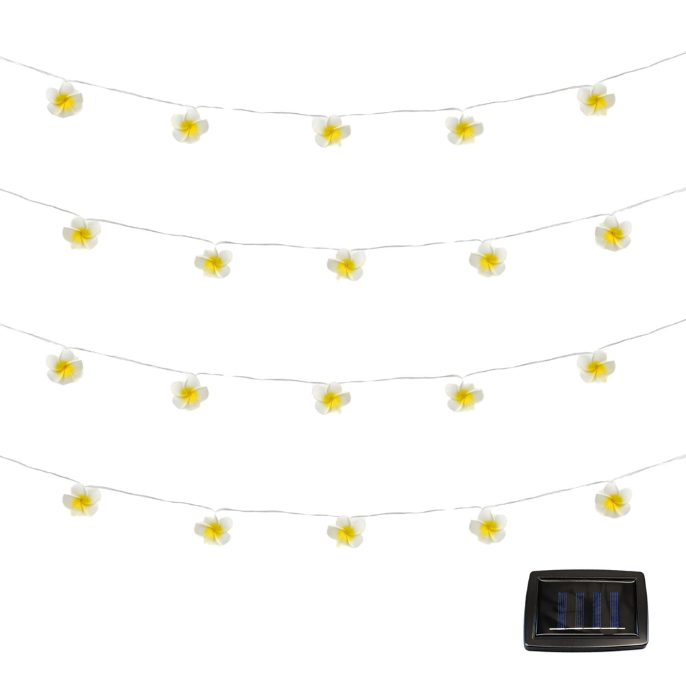20-Piece Solar String Lights – 2m Frangipani Flower LED Lights
