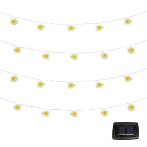 20-Piece Solar String Lights – 2m Frangipani Flower LED Lights