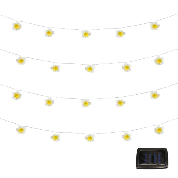 20-Piece Solar String Lights – 2m Frangipani Flower LED Lights