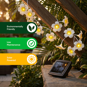 20-Piece Solar String Lights – 2m Frangipani Flower LED Lights