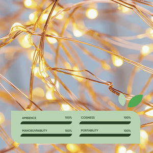 Pack of 2 20m Solar Fairy Lights – 100 LEDs Each
