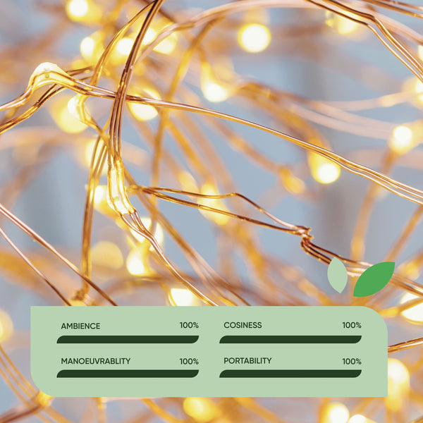 Pack of 2 20m Solar Fairy Lights – 100 LEDs Each