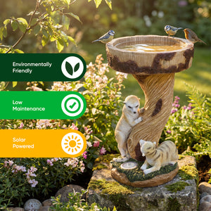 Solar Bird Bath – Meerkat Garden Ornament with LED Light