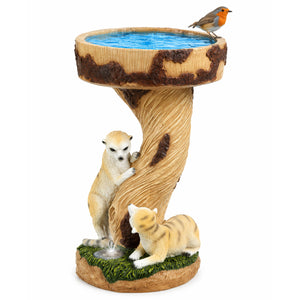 Solar Bird Bath – Meerkat Garden Ornament with LED Light