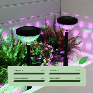Pack of 2 Multi-Coloured Solar LED Garden Stake Lights