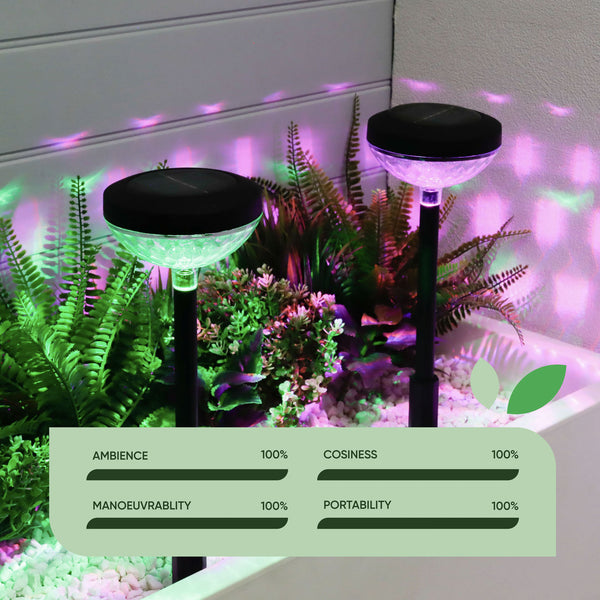 Pack of 2 Multi-Coloured Solar LED Garden Stake Lights