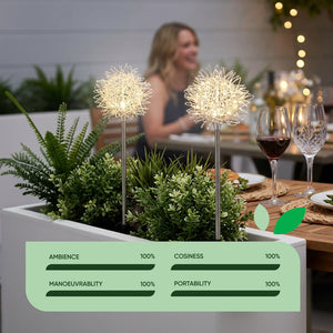 Pack of 2 Solar Dandelion Stake Lights – Warm White LED Garden Lights