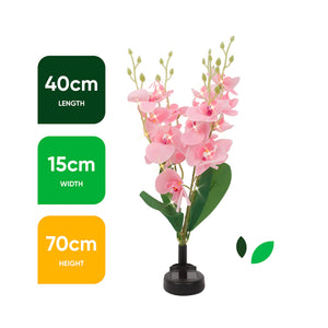 Solar Orchid Stake Light – 30 Warm White LED Garden Light