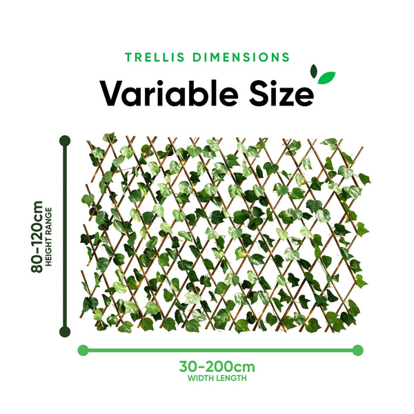 Solar Garden Trellis – Expandable Ivy Trellis with 100 LED Lights