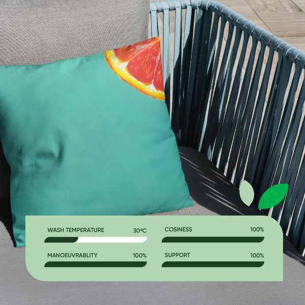 Pair of Outdoor Scatter Cushions – Grapefruit Design