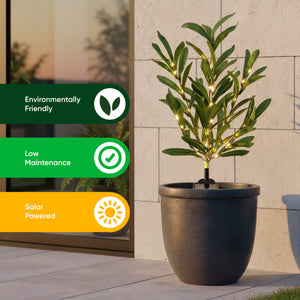Solar Olive Tree Stake Light – Warm White LED Garden Light