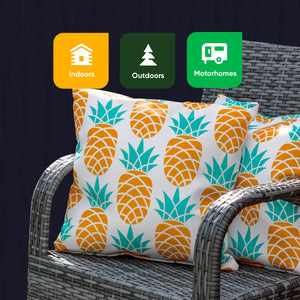 Pair of Outdoor Scatter Cushions – Pineapple Design