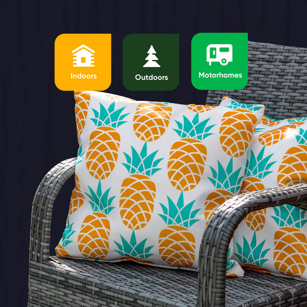 Pair of Outdoor Scatter Cushions – Pineapple Design