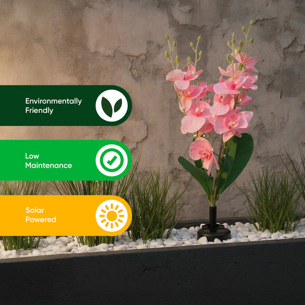 Solar Orchid Stake Light – 30 Warm White LED Garden Light