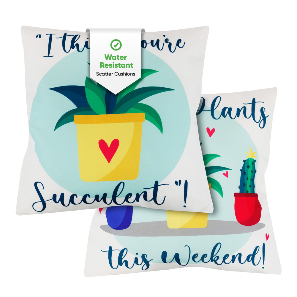 Pair of Outdoor Scatter Cushions – Succulent Design