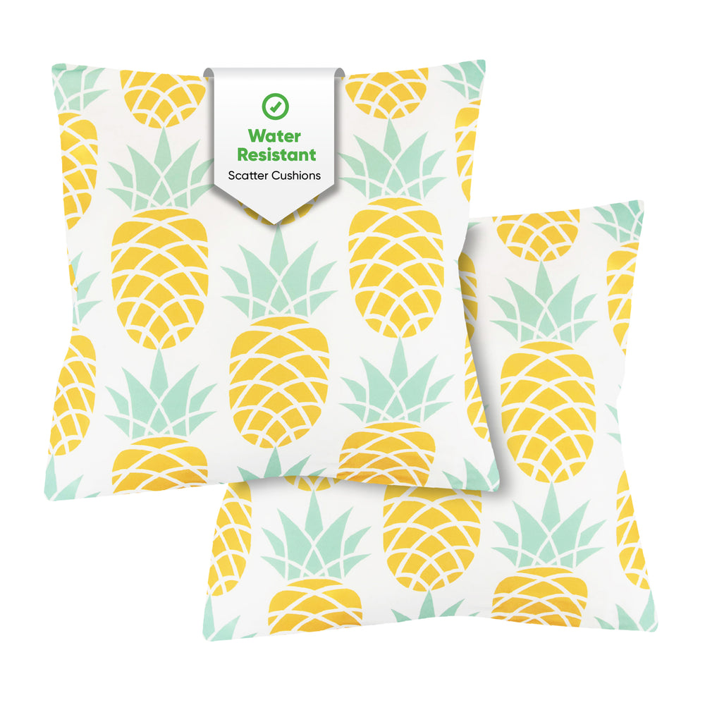 Pair of Outdoor Scatter Cushions – Pineapple Design