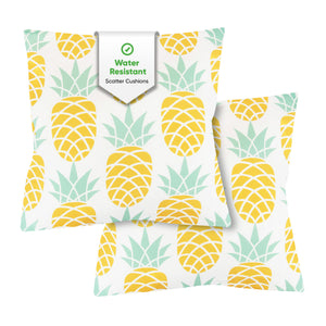 Pair of Outdoor Scatter Cushions – Pineapple Design